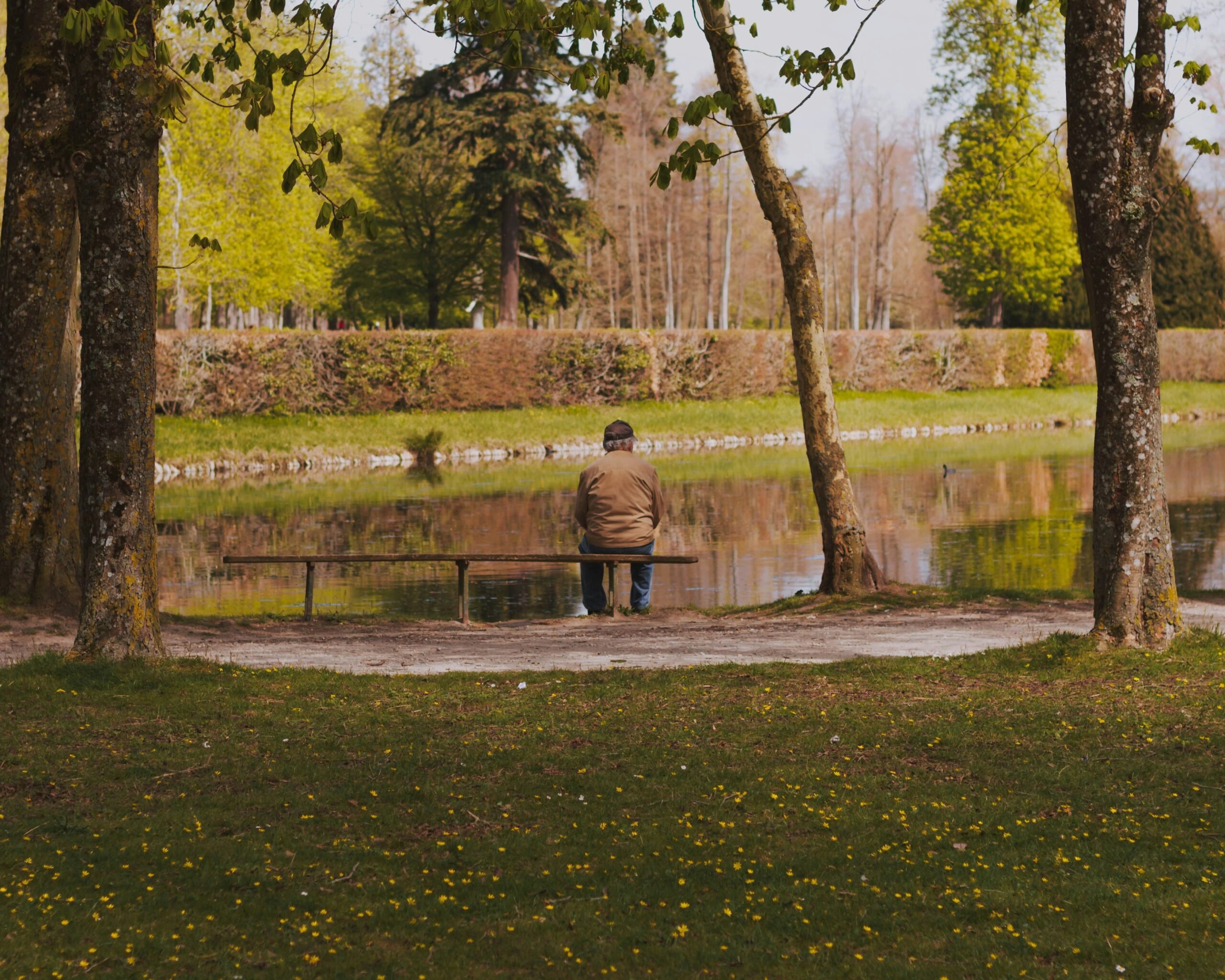 Hello World Featured Image